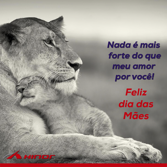 Hinor - Dia das Mães